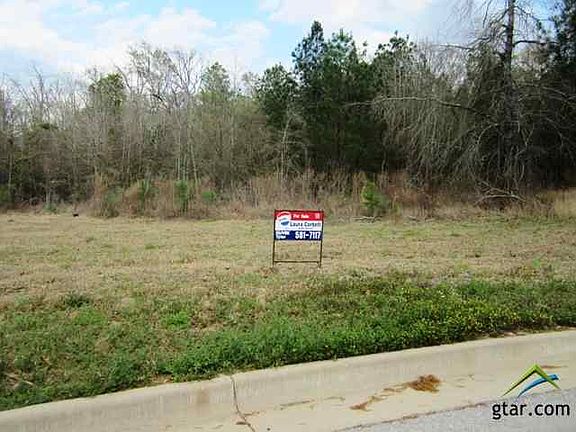 3rd image of 1417 Covewood Dr