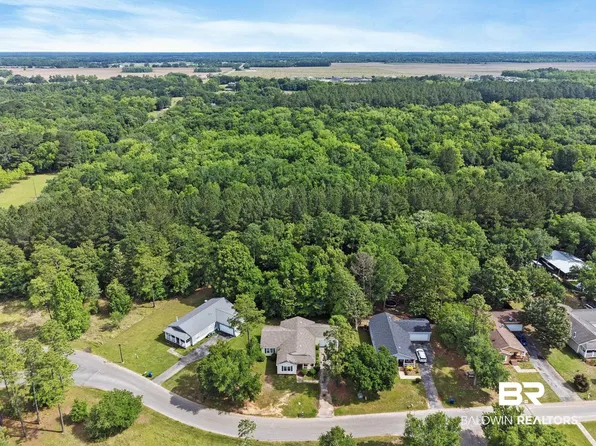 10200 March Pointe Dr, Theodore, AL 36582
