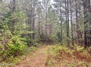 Henry Cannon Rd, Braxton, MS 39044