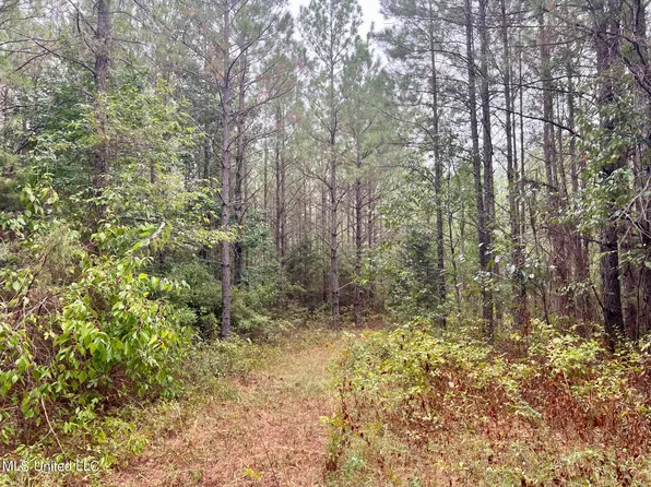 Henry Cannon Rd, Braxton, MS 39044