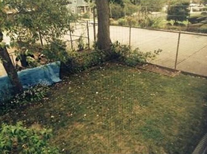 2nd image of 6 Sunnybank Rd #0