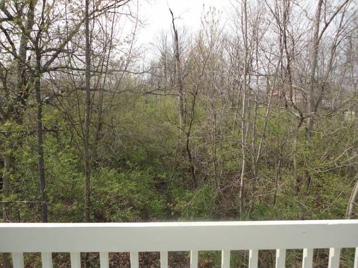 2nd image of 4473 White Leaf Way
