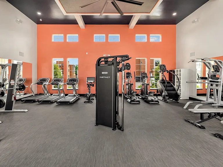 Gym & Fitness Center