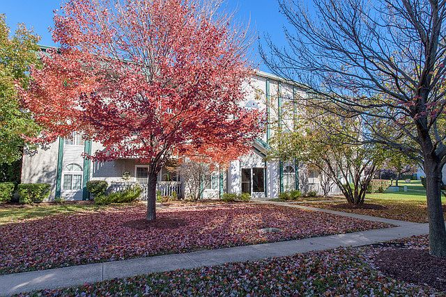 1st image of 2899 Heritage Dr APT 1D