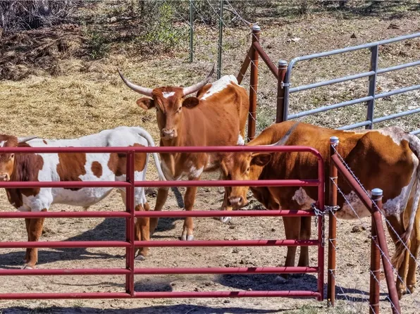 11387 Fm 32, Fischer, TX 78623