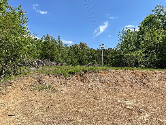 2nd image of 267 Bluegoose Rd