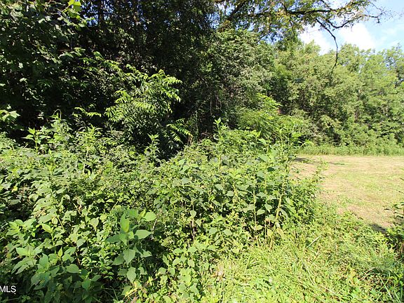 3rd image of 5915 Paw Paw Plains Rd