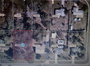 Delaware Ave, Astatula, FL 34705