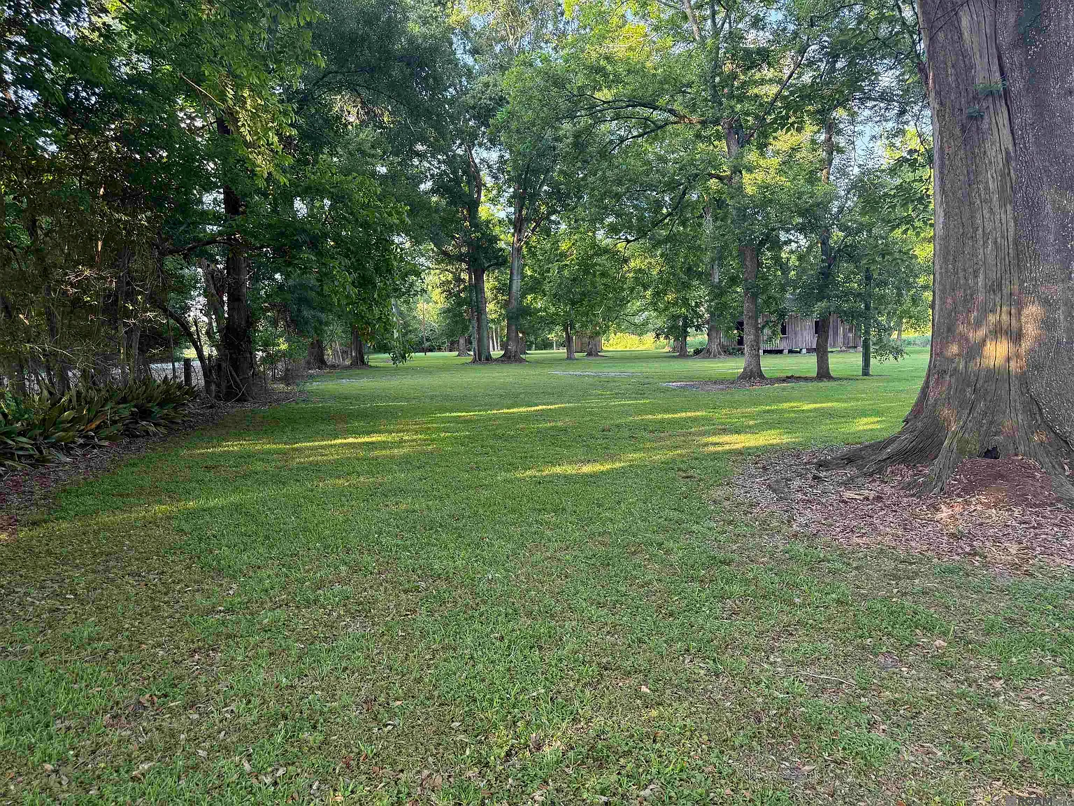2 bed, 3326 sqft, $4,500 — Photo 4