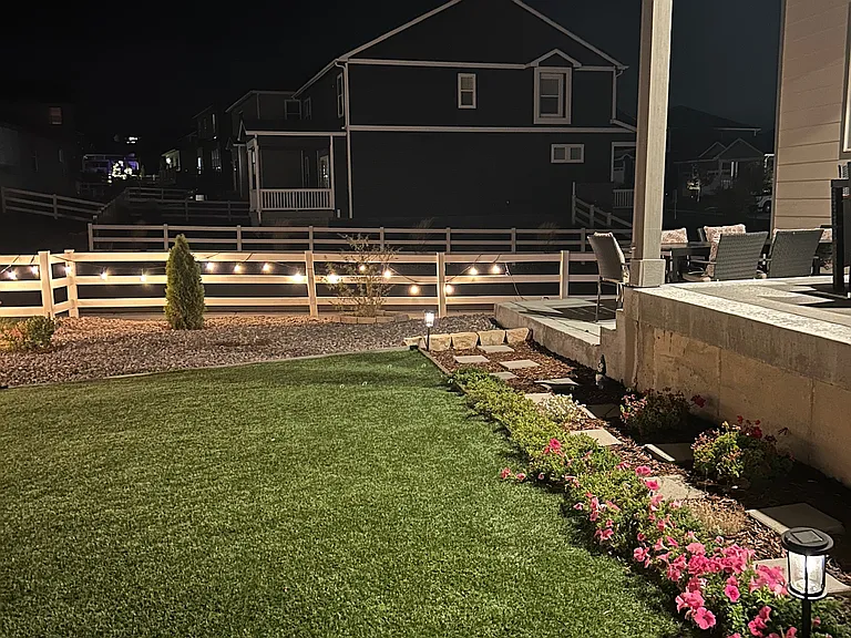 Turf lawn backyard