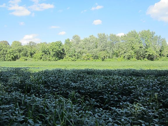 2nd image of 0 Little River Rd