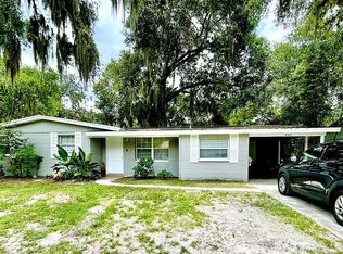 4213 E Alene Dr, Tampa, FL 33617