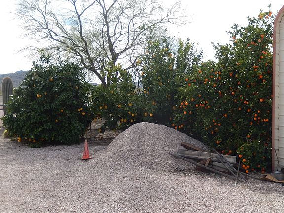 3rd image of 66916 Diamond Dr