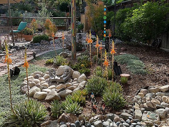 Drought tolerate landscaping