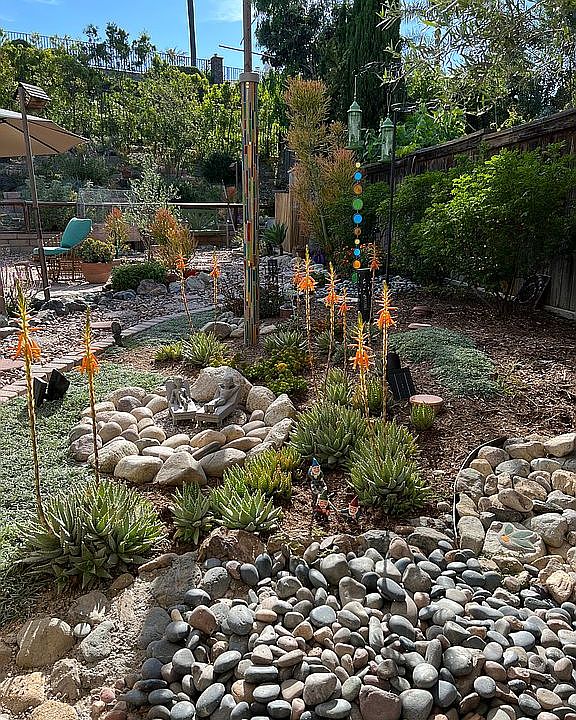 Drought tolerate landscaping