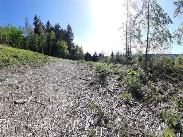 101 NE WJ Way, Belfair, WA 98528