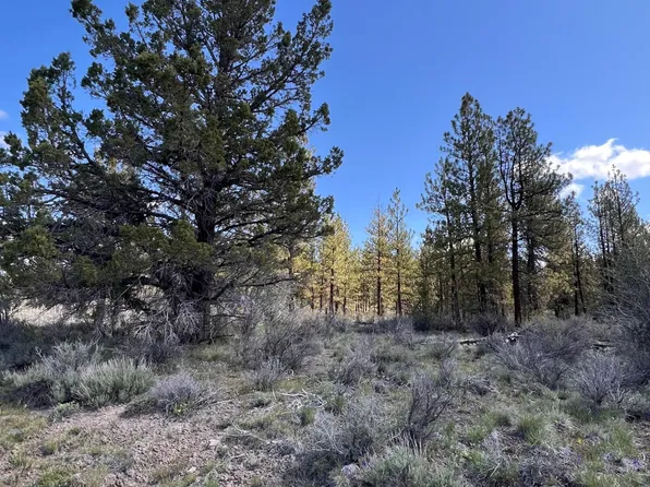 Glendale Dr #15, Beatty, OR 97621