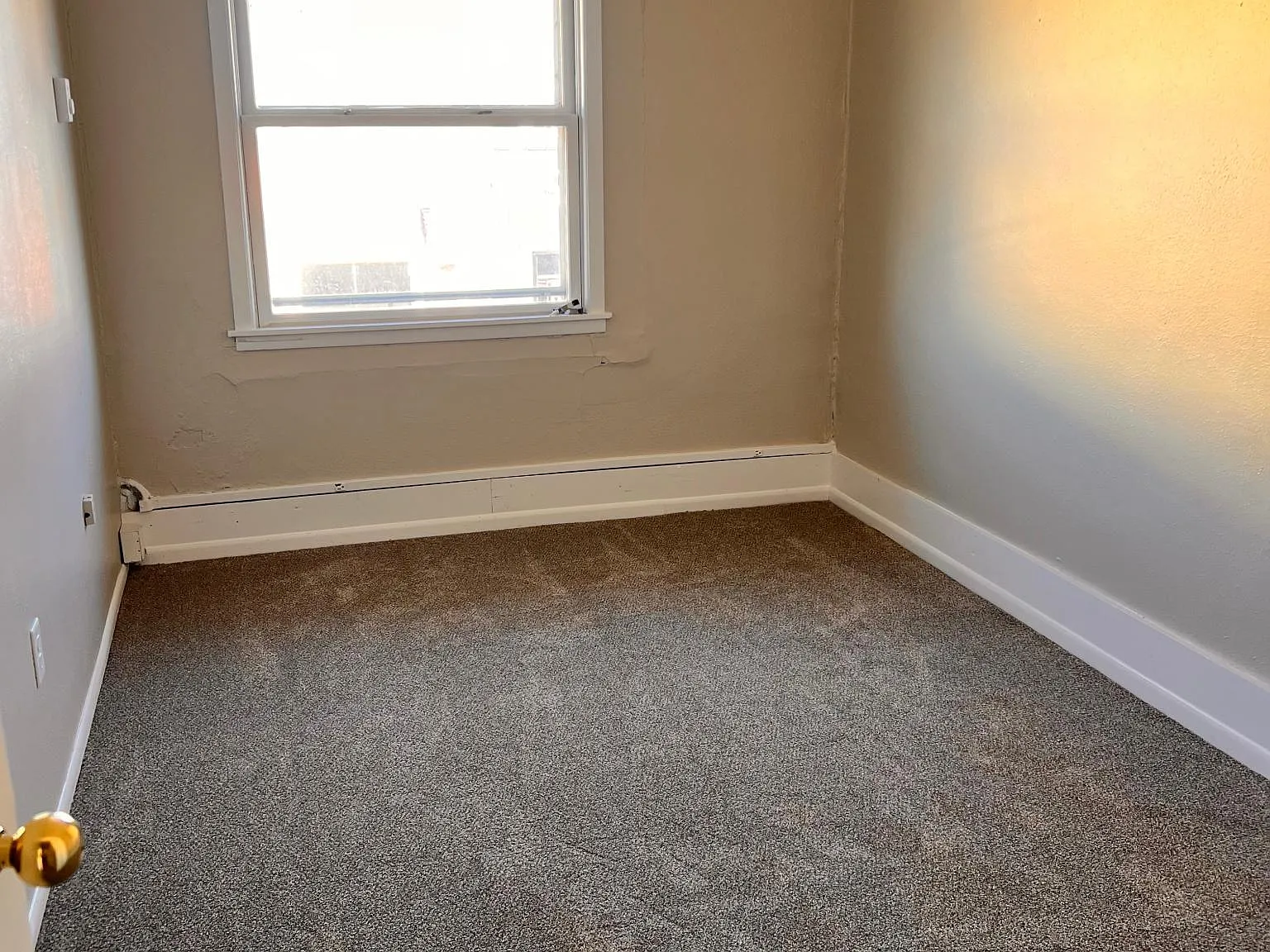 1 bed, $800 — Photo 3