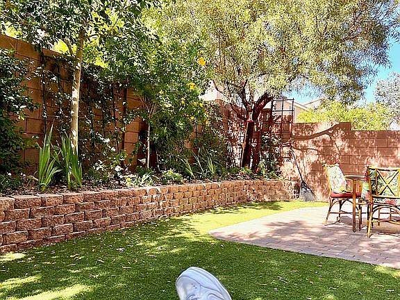 Relaxing in the Backyard 