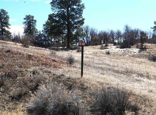 673 Spring Creek Circle, Chromo, CO 81128