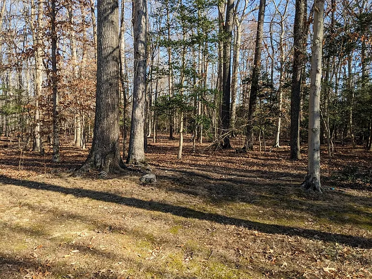 8290 Chapel Point Rd — Photo 19