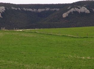 2927 Box Canyon Rd, Buffalo, MT 59418