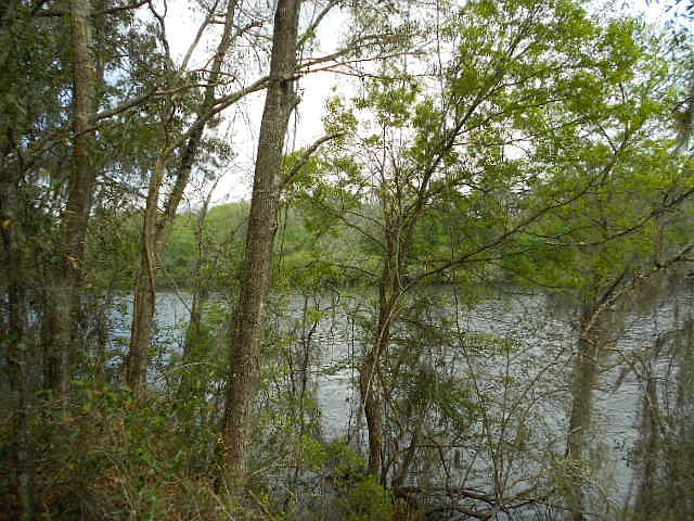 1st image of NE 837th St