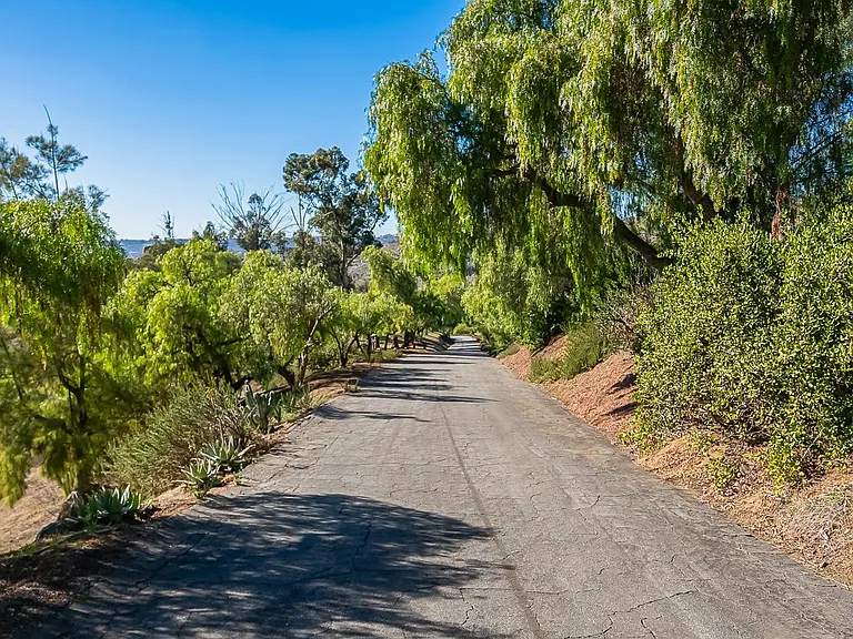 Driveway