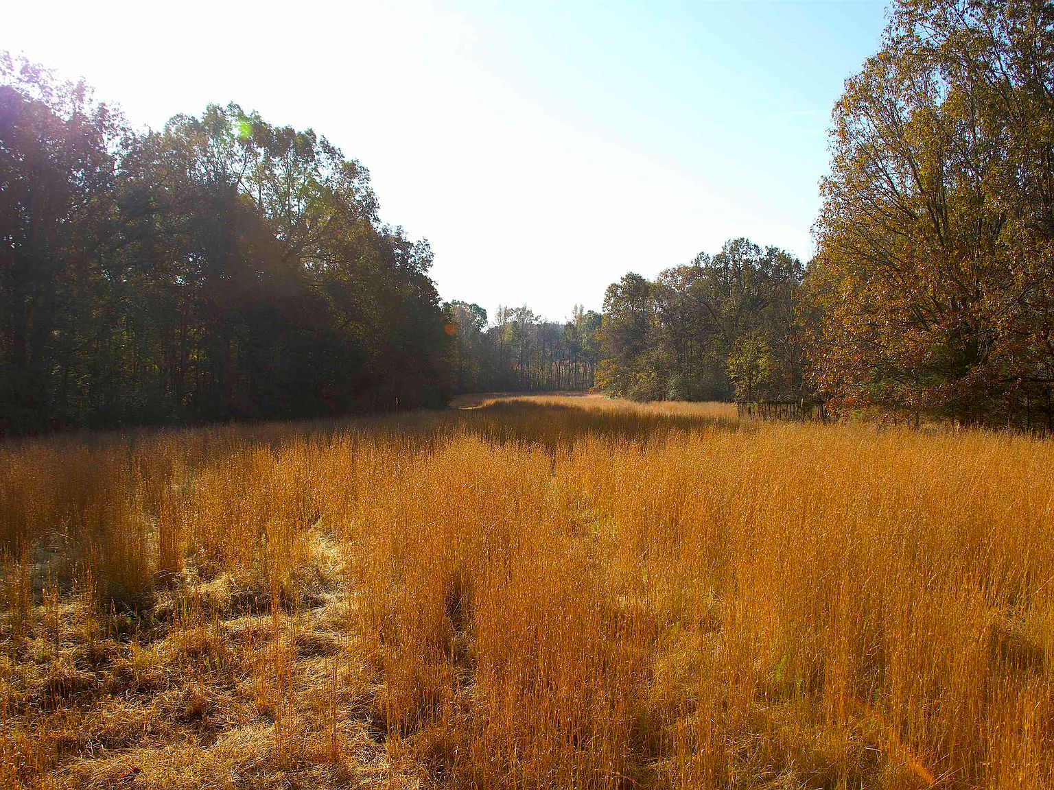 1000 Bateman Rd, Moscow, TN 38057 MLS 10160464 Zillow