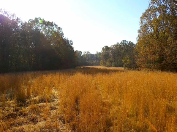 1000 Bateman Rd, Moscow, TN 38057
