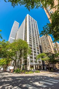 222 E Pearson St APT 1008, Chicago, IL, 60611