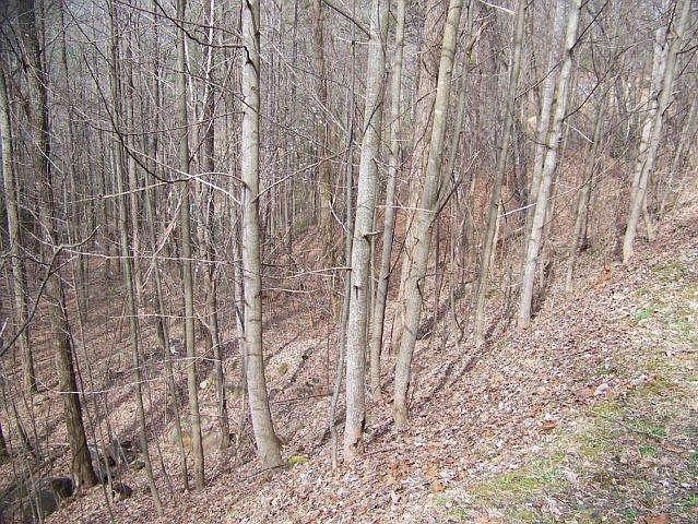 1st image of 15 & 19 Timberwood Drive LOT 15&19