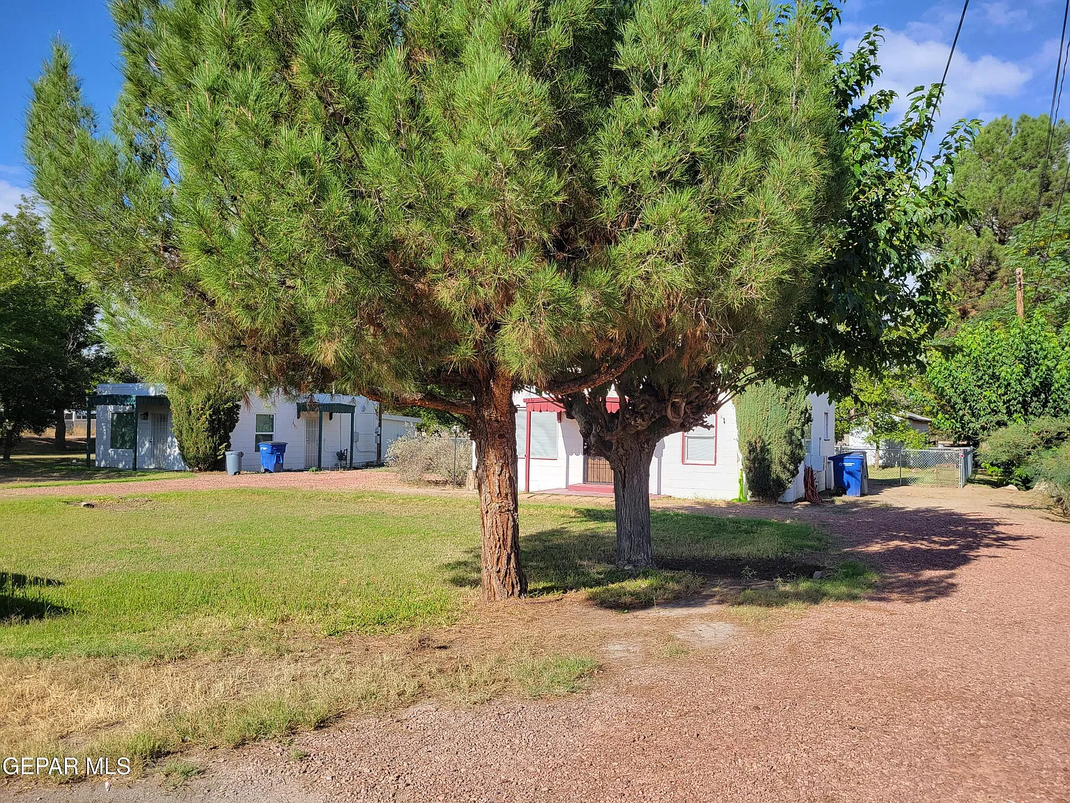 2 bed, 1.0 bath, 920 sqft, $950 — Photo 4