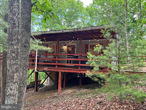 2nd image of Cedarwood