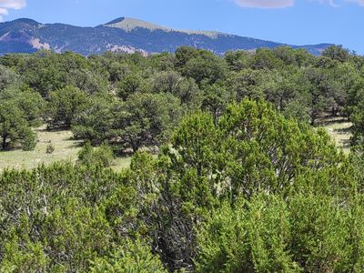 Dark Cyn, Magdalena, NM, 87825