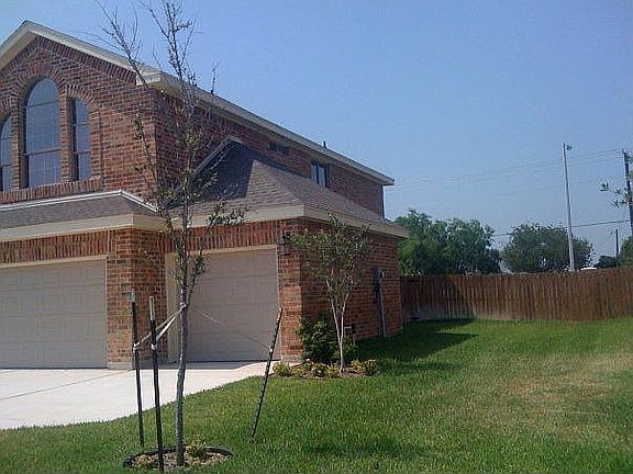 East side yard