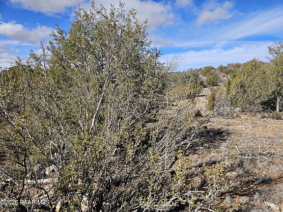 4th image of 30022 W Amalia Rd