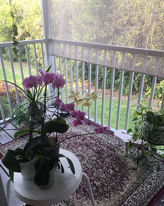 New lanai