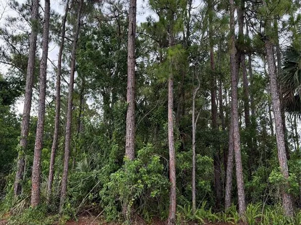 2361 SAN FILIPPO DRIVE SE LOT 6, PALM BAY, FL 32909