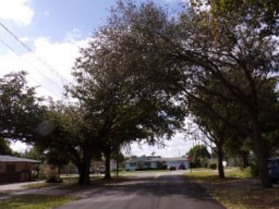 Exterior Neighborhood (street photo)