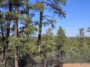 440 E Stoneridge Cir, Show Low, AZ 85901