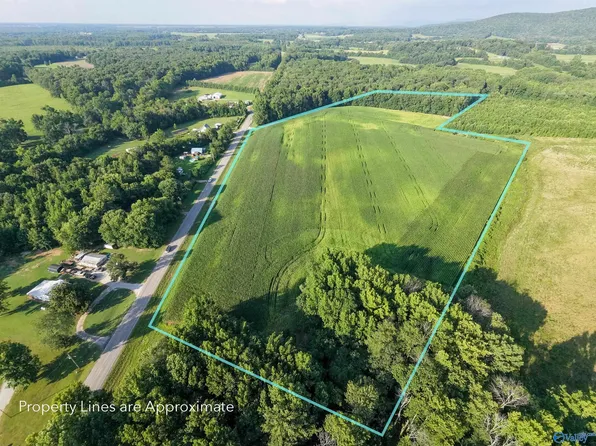 8204 Winchester Rd, New Market, AL 35761