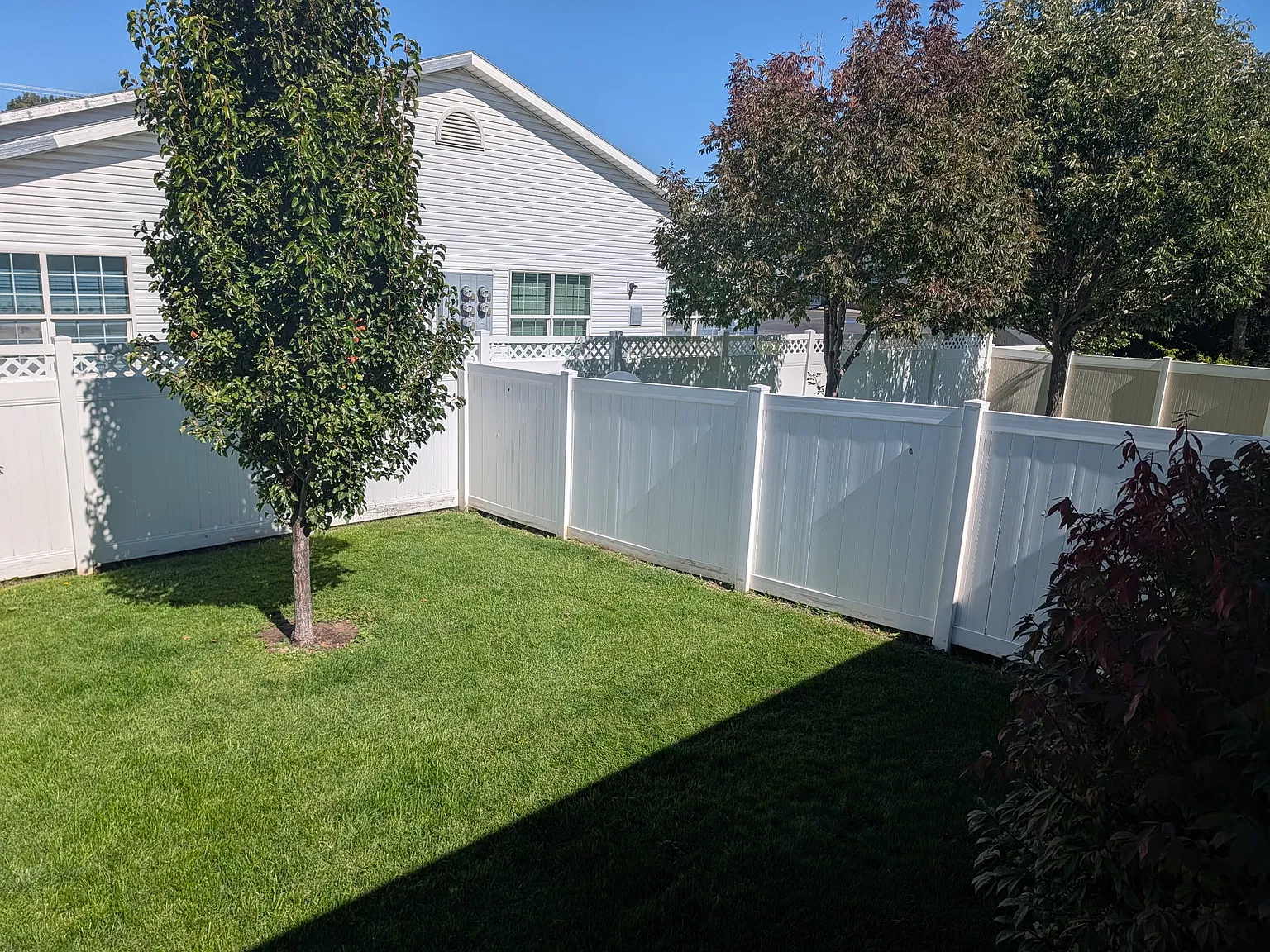 5 bed, $2,300 — Photo 4