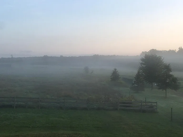 View from Deck