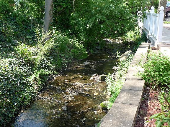 4th image of 31 Wales Pl