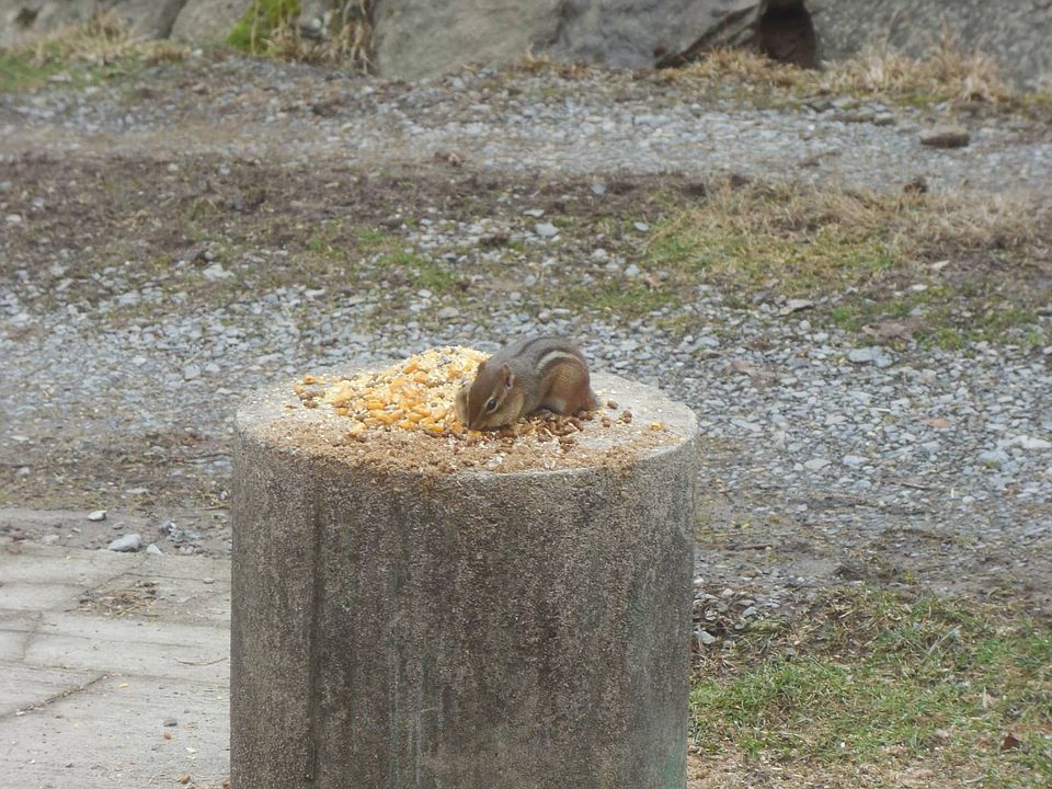 100th image of this home