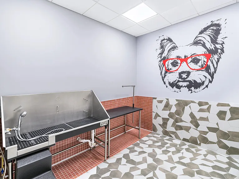 Keep your four-legged companions pampered at Modera Riverside's thoughtfully designed pet spa.