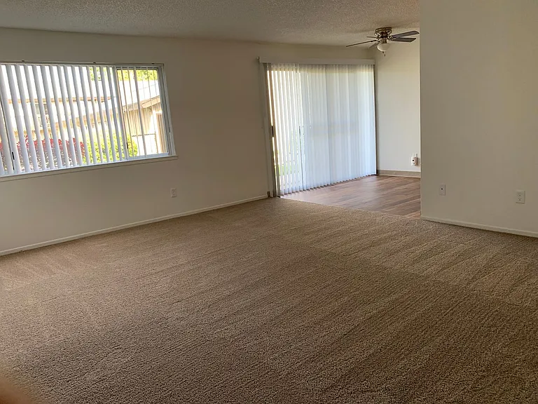 Shannon South Apartments — Photo 14