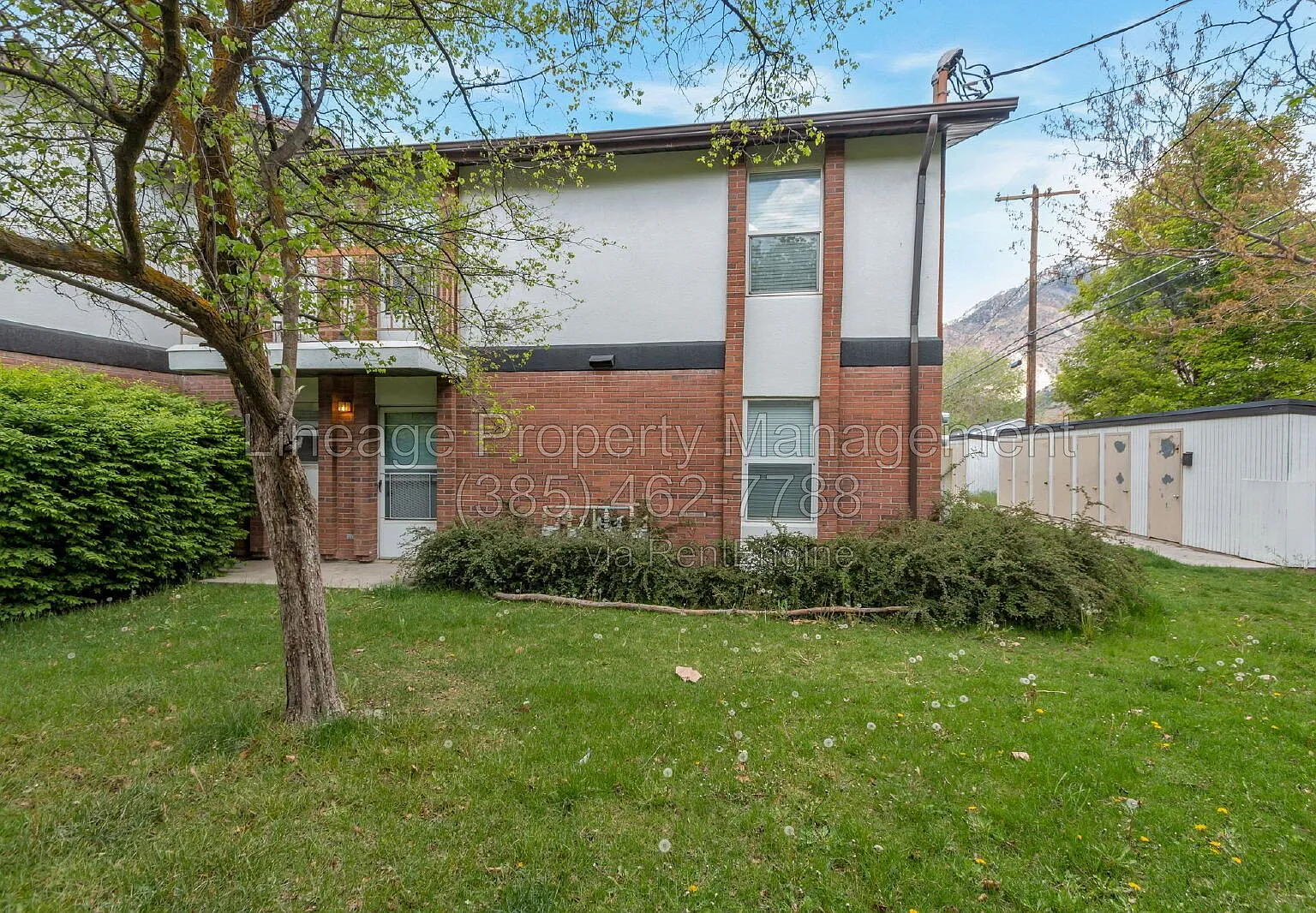2 bed, 1.0 bath, 800 sqft, $1,275 — Photo 2