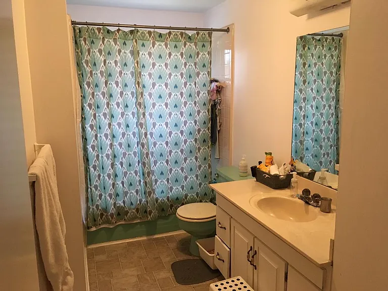 shared hallway bath, shower + tub combo.